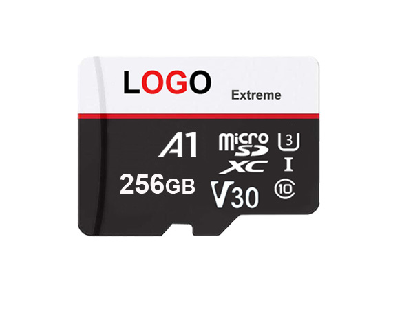 256GB Micro SDXC Cards